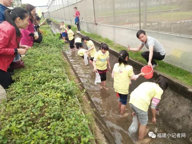 【圍觀】福建小記者走進農(nóng)場體驗農(nóng)耕樂趣