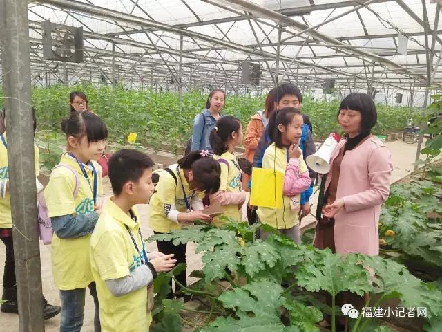 【圍觀】福建小記者走進農(nóng)場體驗農(nóng)耕樂趣