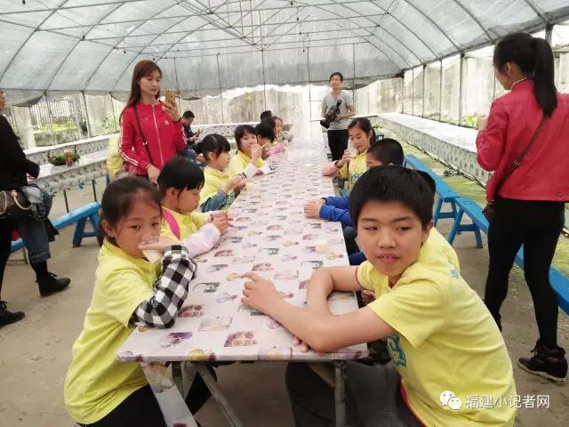 【圍觀】福建小記者走進農(nóng)場體驗農(nóng)耕樂趣