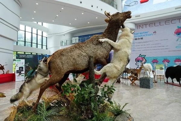 福州科技館新館國慶科普臨展活動今日火熱啟動