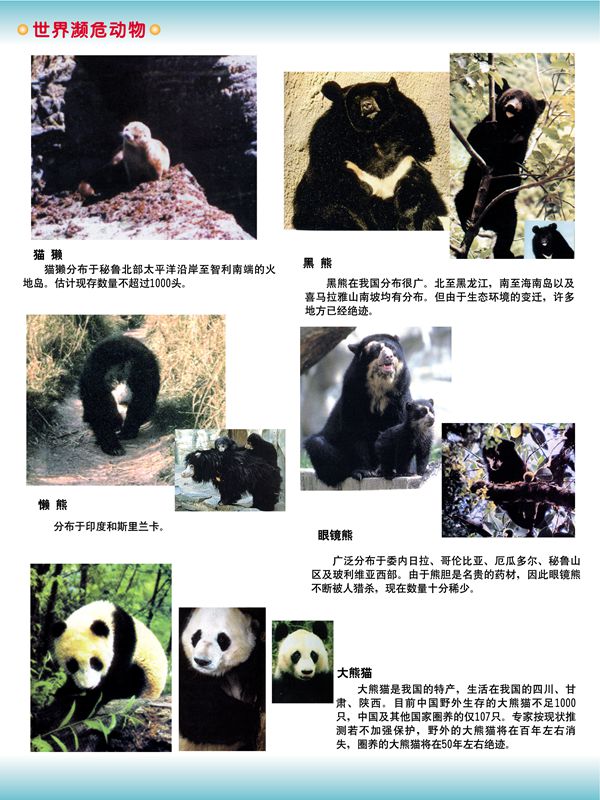 世界瀕危動物