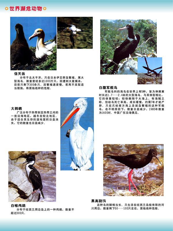 世界瀕危動(dòng)物