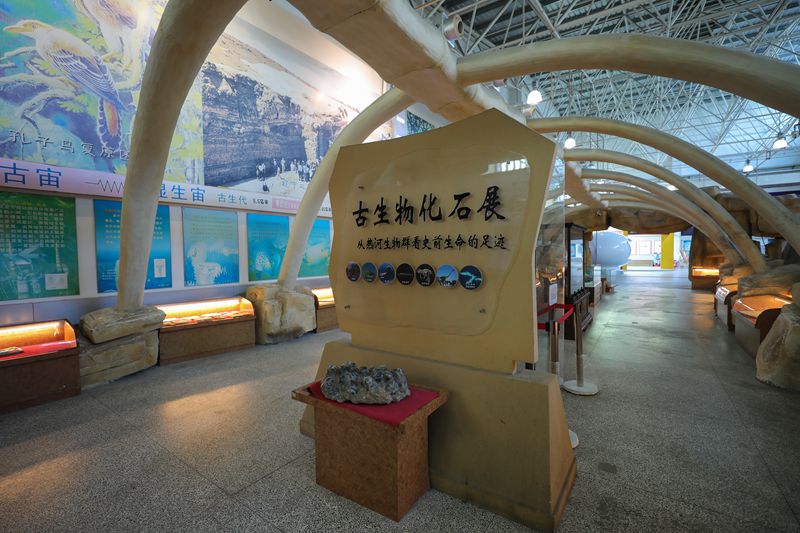 地球家園展區(qū)