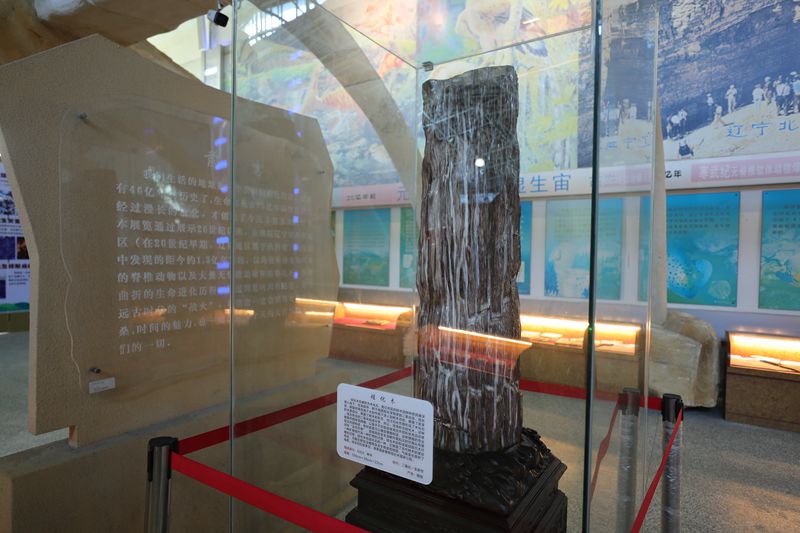 地球家園展區(qū)