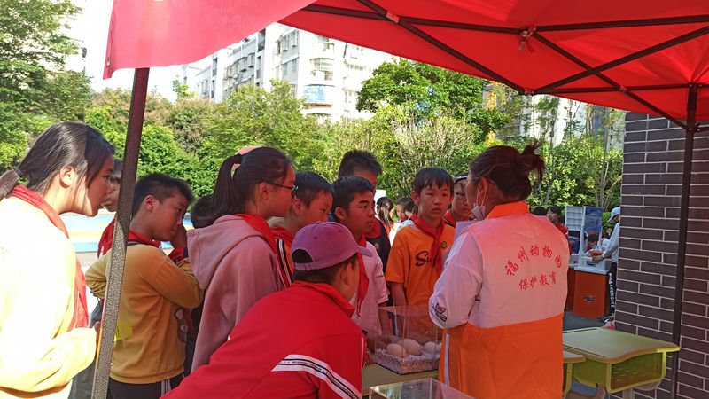 福州動物園參加科普進校園系列活動（福州市第八中心小學）