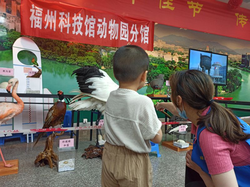 福州動物園參加端午節(jié)科普活動