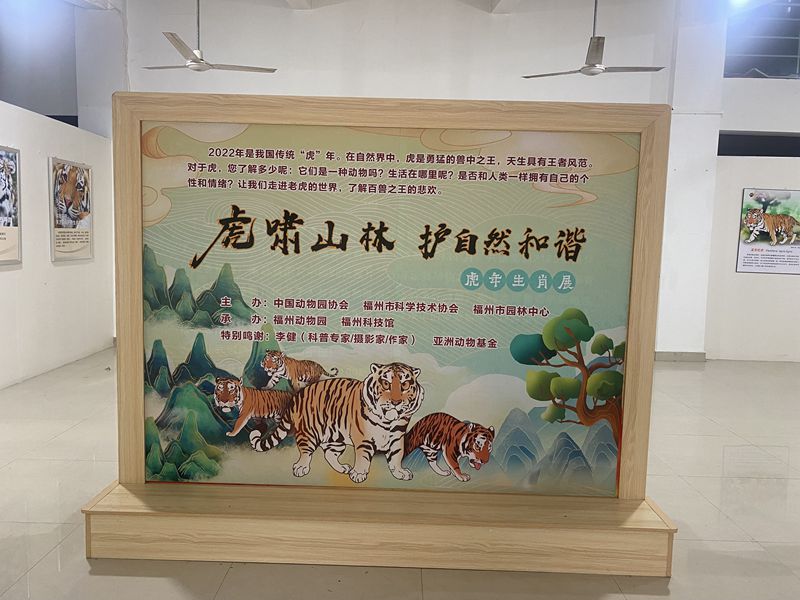 虎年生肖文化展科普活動