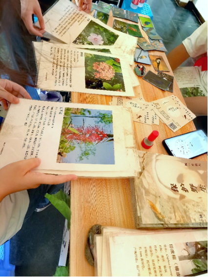 “喜迎二十大，科普向未來”2022年全國科普日活動——推動野生動植物，推進生態(tài)文明建設(shè)