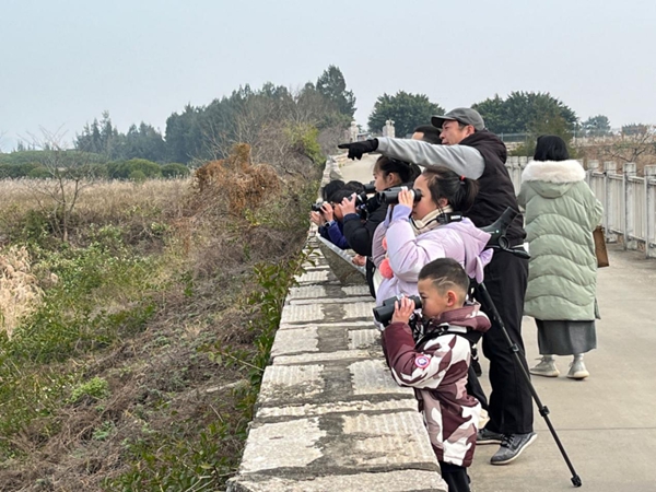 閩江河口濕地舉行“2024年世界濕地日｜濕地與人類福祉”主題研學(xué)活動