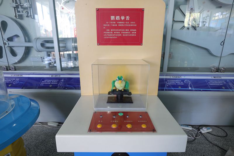 科學(xué)互動(dòng)展區(qū)