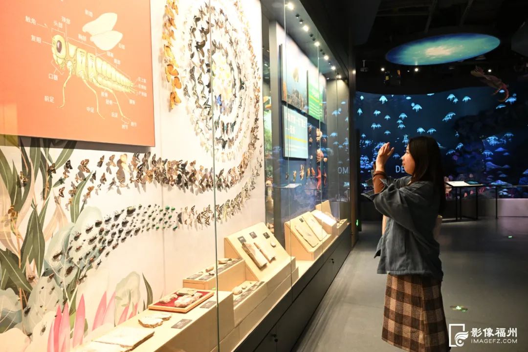 場館美圖