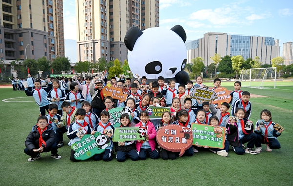 探索大熊貓的奧秘：福州科技館大熊貓分館科普活動走進高新區(qū)實驗小學