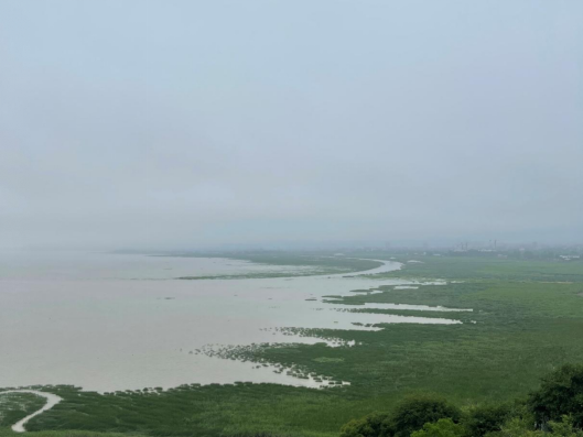 閩江河口濕地保護(hù)20年系列活動(dòng)之“守護(hù)濕地，你我同行”