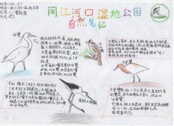 2022年全國濕地自然筆記接力賽閩江河口濕地觀鳥實踐活動