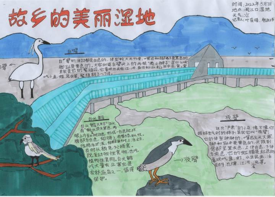 2022年全國濕地自然筆記接力賽閩江河口濕地觀鳥實踐活動