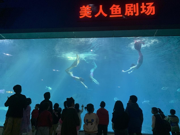 2023年福州科技館分館游學(xué)系列活動(dòng)暨3.3“世界野生動(dòng)植物日——野生動(dòng)植物保護(hù)伙伴關(guān)系之中華白海豚傘護(hù)效應(yīng)